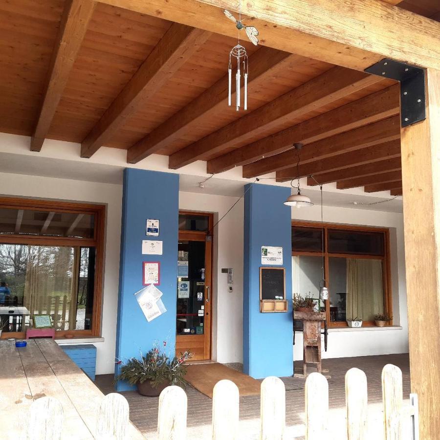 Agriturismo Il Podere Vedelago Con San Bernardo, Alpaca E Una Pentola Di Cose Da Scoprire Kültér fotó