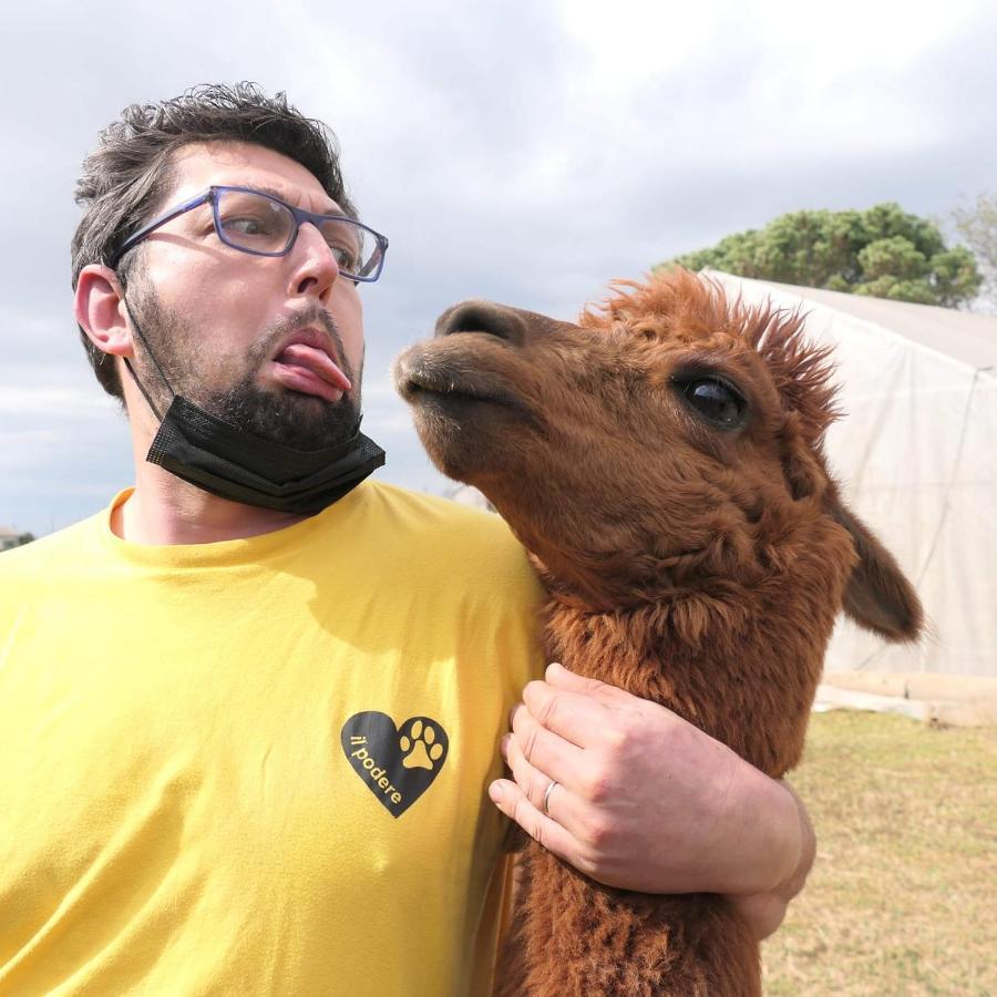 Agriturismo Il Podere Vedelago Con San Bernardo, Alpaca E Una Pentola Di Cose Da Scoprire Kültér fotó