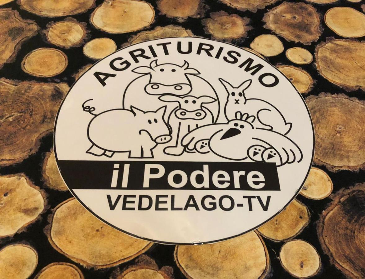 Agriturismo Il Podere Vedelago Con San Bernardo, Alpaca E Una Pentola Di Cose Da Scoprire Kültér fotó