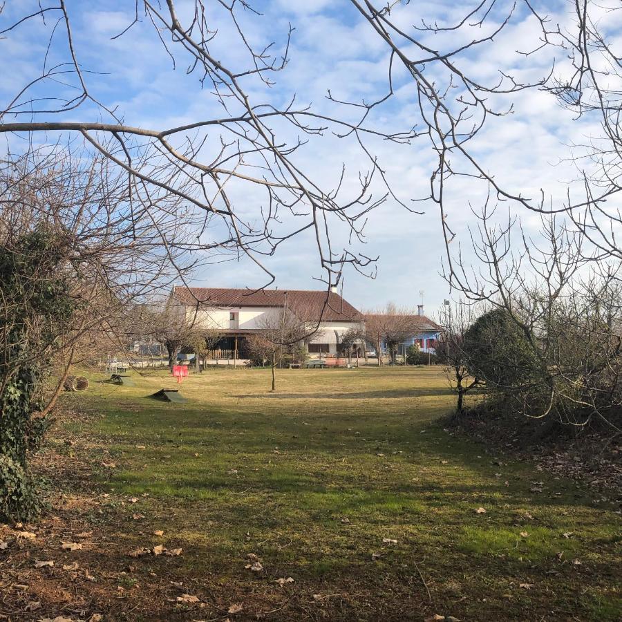Agriturismo Il Podere Vedelago Con San Bernardo, Alpaca E Una Pentola Di Cose Da Scoprire Kültér fotó