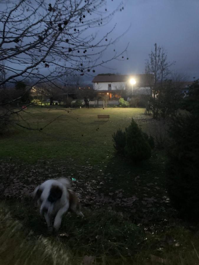 Agriturismo Il Podere Vedelago Con San Bernardo, Alpaca E Una Pentola Di Cose Da Scoprire Kültér fotó