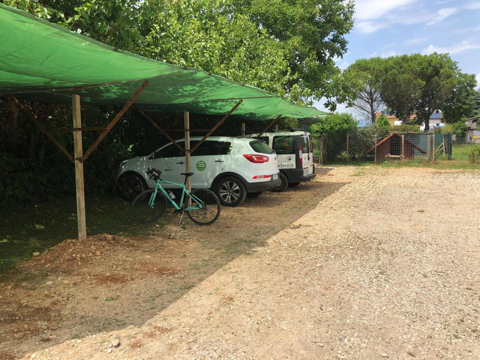 Agriturismo Il Podere Vedelago Con San Bernardo, Alpaca E Una Pentola Di Cose Da Scoprire Kültér fotó
