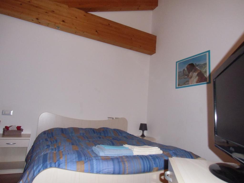 Agriturismo Il Podere Vedelago Con San Bernardo, Alpaca E Una Pentola Di Cose Da Scoprire Kültér fotó