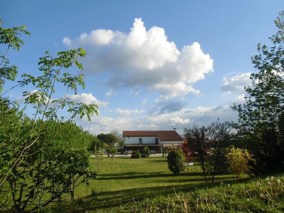 Agriturismo Il Podere Vedelago Con San Bernardo, Alpaca E Una Pentola Di Cose Da Scoprire Kültér fotó